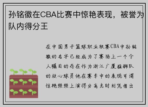 孙铭徽在CBA比赛中惊艳表现，被誉为队内得分王